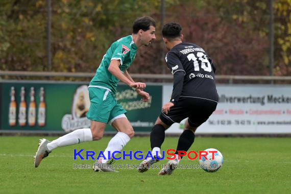 Oberliga-BW-FC-Zuzenhausen-vs-VfR-Aalen- (© Siegfried Lörz)