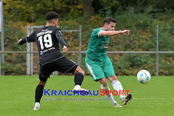 Oberliga-BW-FC-Zuzenhausen-vs-VfR-Aalen- (© Siegfried Lörz)