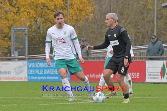 Oberliga-BW-FC-Zuzenhausen-vs-TSG-Balingen (© Siegfried Lörz)