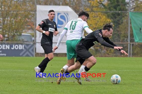 Oberliga-BW-FC-Zuzenhausen-vs-TSG-Balingen (© Siegfried Lörz)