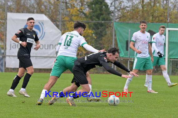 Oberliga-BW-FC-Zuzenhausen-vs-TSG-Balingen (© Siegfried Lörz)