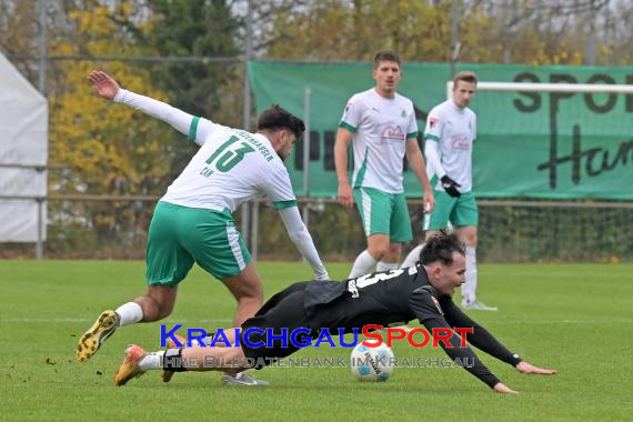 Oberliga-BW-FC-Zuzenhausen-vs-TSG-Balingen (© Siegfried Lörz)