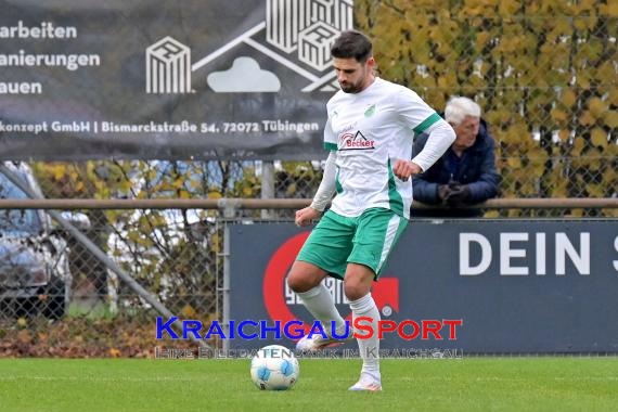 Oberliga-BW-FC-Zuzenhausen-vs-TSG-Balingen (© Siegfried Lörz)