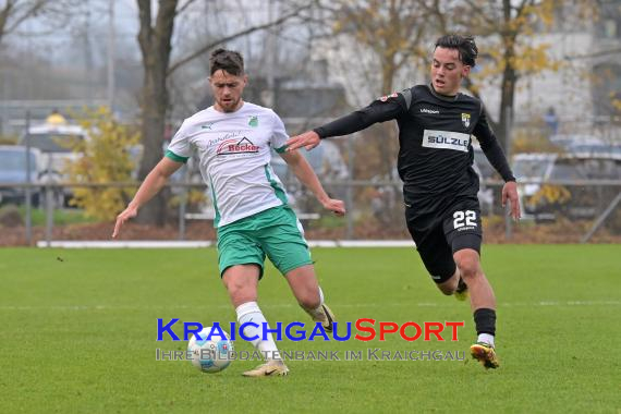 Oberliga-BW-FC-Zuzenhausen-vs-TSG-Balingen (© Siegfried Lörz)