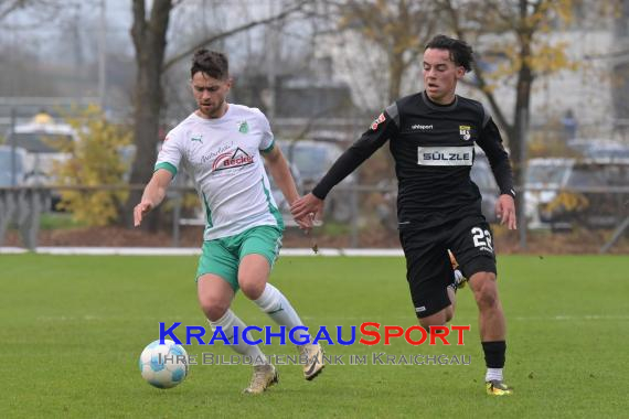 Oberliga-BW-FC-Zuzenhausen-vs-TSG-Balingen (© Siegfried Lörz)