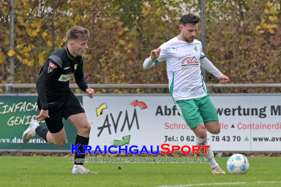 Oberliga-BW-FC-Zuzenhausen-vs-TSG-Balingen (© Siegfried Lörz)