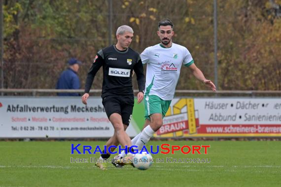 Oberliga-BW-FC-Zuzenhausen-vs-TSG-Balingen (© Siegfried Lörz)