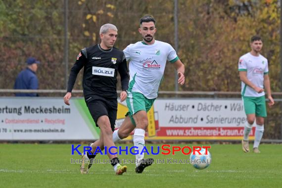 Oberliga-BW-FC-Zuzenhausen-vs-TSG-Balingen (© Siegfried Lörz)