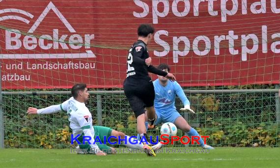 Oberliga-BW-FC-Zuzenhausen-vs-TSG-Balingen (© Siegfried Lörz)