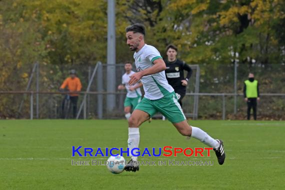 Oberliga-BW-FC-Zuzenhausen-vs-TSG-Balingen (© Siegfried Lörz)