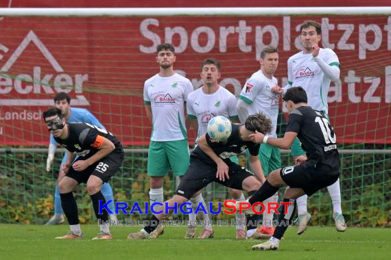 Oberliga-BW-FC-Zuzenhausen-vs-TSG-Balingen (© Siegfried Lörz)