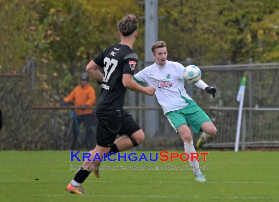 Oberliga-BW-FC-Zuzenhausen-vs-TSG-Balingen (© Siegfried Lörz)