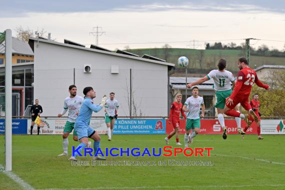 Oberliga-BW-FC-Zuzenhausen-vs-SG-Sonnenhof-Grossaspach (© Siegfried Lörz)