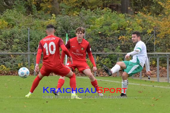 Oberliga-BW-FC-Zuzenhausen-vs-SG-Sonnenhof-Grossaspach (© Siegfried Lörz)