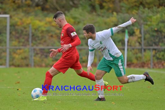 Oberliga-BW-FC-Zuzenhausen-vs-SG-Sonnenhof-Grossaspach (© Siegfried Lörz)