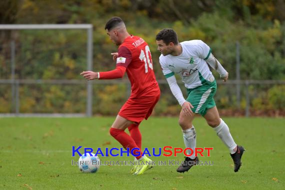 Oberliga-BW-FC-Zuzenhausen-vs-SG-Sonnenhof-Grossaspach (© Siegfried Lörz)