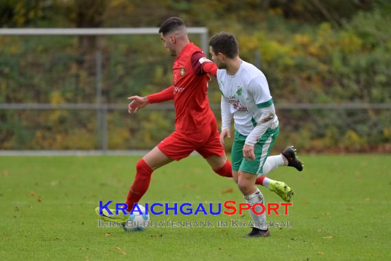 Oberliga-BW-FC-Zuzenhausen-vs-SG-Sonnenhof-Grossaspach (© Siegfried Lörz)