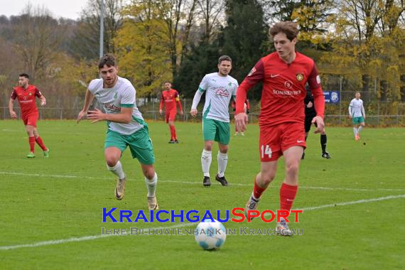 Oberliga-BW-FC-Zuzenhausen-vs-SG-Sonnenhof-Grossaspach (© Siegfried Lörz)