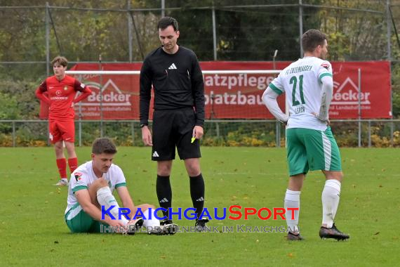 Oberliga-BW-FC-Zuzenhausen-vs-SG-Sonnenhof-Grossaspach (© Siegfried Lörz)