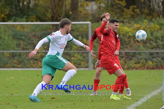 Oberliga-BW-FC-Zuzenhausen-vs-SG-Sonnenhof-Grossaspach (© Siegfried Lörz)