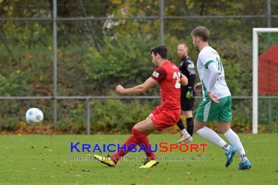 Oberliga-BW-FC-Zuzenhausen-vs-SG-Sonnenhof-Grossaspach (© Siegfried Lörz)