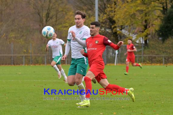 Oberliga-BW-FC-Zuzenhausen-vs-SG-Sonnenhof-Grossaspach (© Siegfried Lörz)