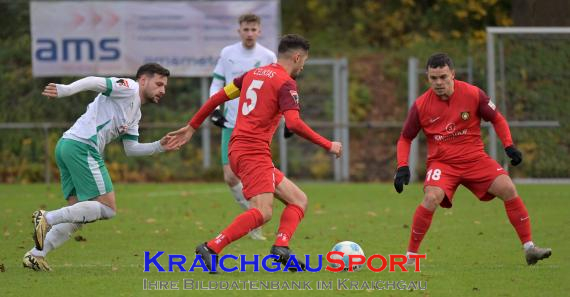 Oberliga-BW-FC-Zuzenhausen-vs-SG-Sonnenhof-Grossaspach (© Siegfried Lörz)