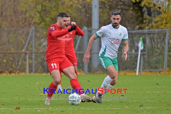 Oberliga-BW-FC-Zuzenhausen-vs-SG-Sonnenhof-Grossaspach (© Siegfried Lörz)