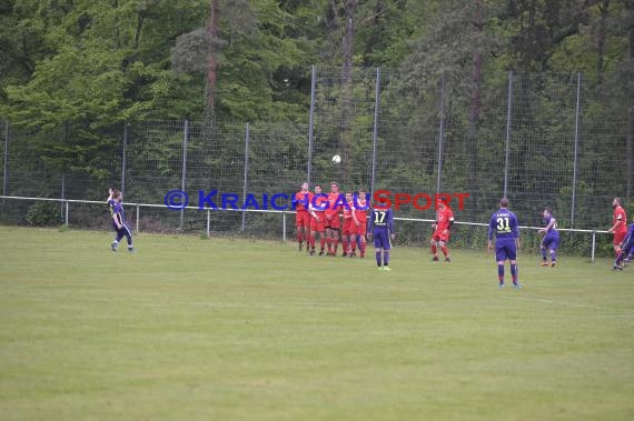 Handball TSV Phoenix Steinsfurt vs SV Sinsheim 22.04.2017 (© Siegfried Lörz)