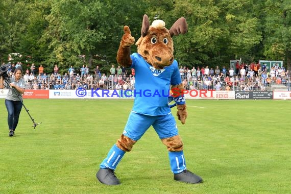 Testspiel - 18/19 - TSG 1899 Hoffenheim vs. Queens Park Rangers - Impressionen (© Kraichgausport / Loerz)