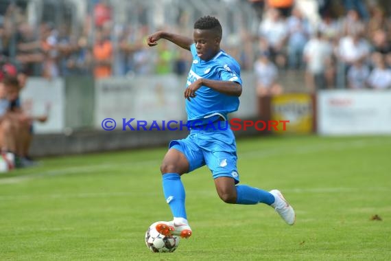 Testspiel - 18/19 - TSG 1899 Hoffenheim vs. Queens Park Rangers (© Kraichgausport / Loerz)