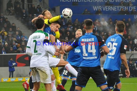 1. BL - 16/17 - TSG 1899 Hoffenheim vs. SV Werder Bremen (© Kraichgausport / Loerz)