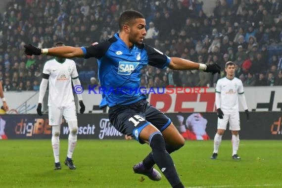 1. BL - 16/17 - TSG 1899 Hoffenheim vs. SV Werder Bremen (© Kraichgausport / Loerz)