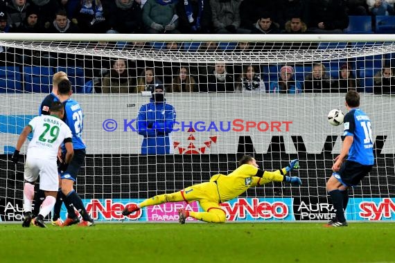 1. BL - 16/17 - TSG 1899 Hoffenheim vs. SV Werder Bremen (© Kraichgausport / Loerz)