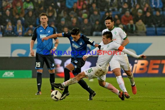 1. BL - 16/17 - TSG 1899 Hoffenheim vs. SV Werder Bremen (© Kraichgausport / Loerz)