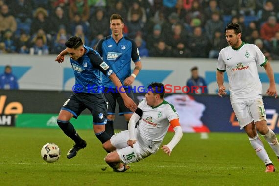 1. BL - 16/17 - TSG 1899 Hoffenheim vs. SV Werder Bremen (© Kraichgausport / Loerz)