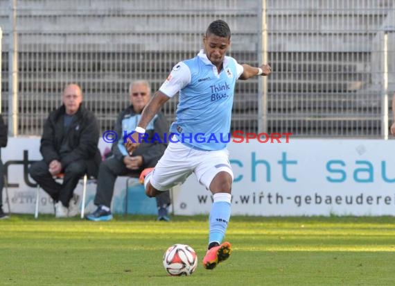 2. Bundesliga SV Sandhausen - TSV 1860 München Hardtwaldstadion Sandhausen 23.09.2014 (© Siegfried Lörz)