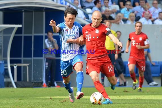 1.BL - 15/16 - TSG 1899 Hoffenheim vs. Bayern Muenchen (© Kraichgausport / Loerz)