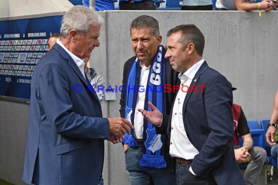 1. BL - 18/19 - TSG 1899 Hoffenheim vs. Bor. Dortmund (© Kraichgausport / Loerz)