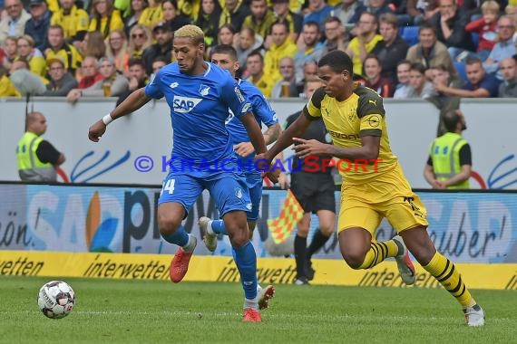 1. BL - 18/19 - TSG 1899 Hoffenheim vs. Bor. Dortmund (© Kraichgausport / Loerz)