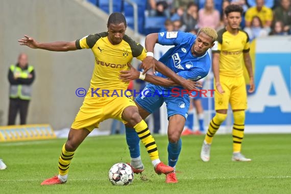 1. BL - 18/19 - TSG 1899 Hoffenheim vs. Bor. Dortmund (© Kraichgausport / Loerz)