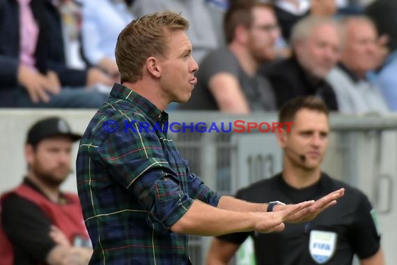 1. BL - 18/19 - TSG 1899 Hoffenheim vs. Bor. Dortmund (© Kraichgausport / Loerz)