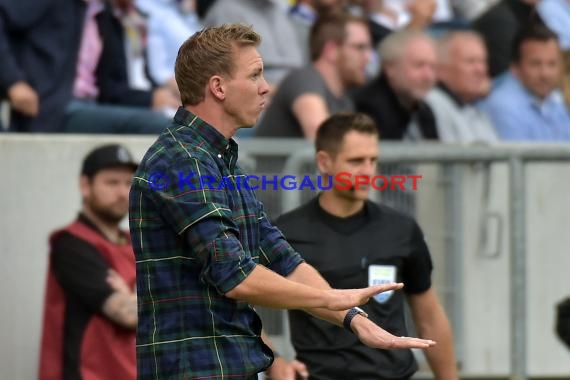 1. BL - 18/19 - TSG 1899 Hoffenheim vs. Bor. Dortmund (© Kraichgausport / Loerz)