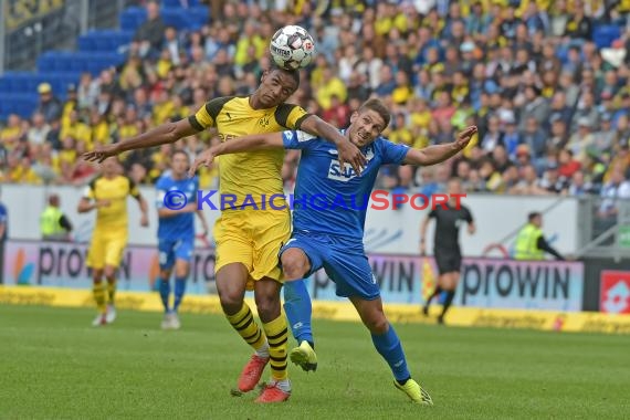 1. BL - 18/19 - TSG 1899 Hoffenheim vs. Bor. Dortmund (© Kraichgausport / Loerz)