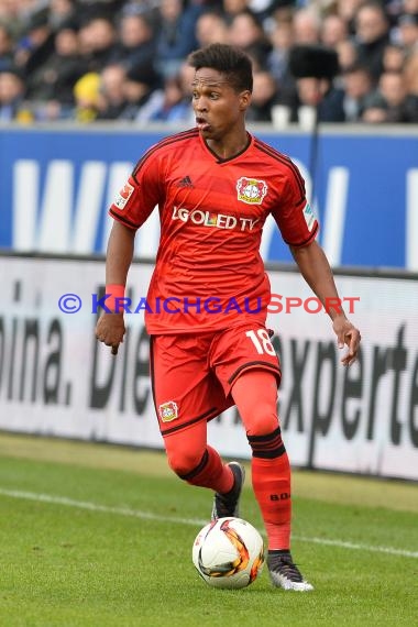 1.BL - 15/16 - TSG 1899 Hoffenheim vs. Bayer Leverkusen (© Kraichgausport / Loerz)