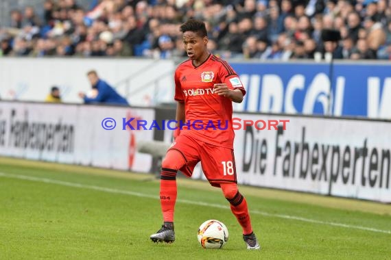 1.BL - 15/16 - TSG 1899 Hoffenheim vs. Bayer Leverkusen (© Kraichgausport / Loerz)