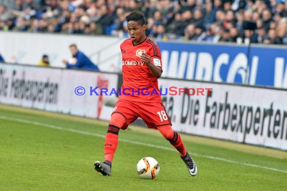 1.BL - 15/16 - TSG 1899 Hoffenheim vs. Bayer Leverkusen (© Kraichgausport / Loerz)