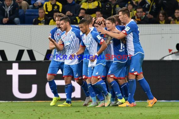 1.BL - 15/16 - TSG 1899 Hoffenheim vs. Borussia Dortmund (© Kraichgausport / Loerz)