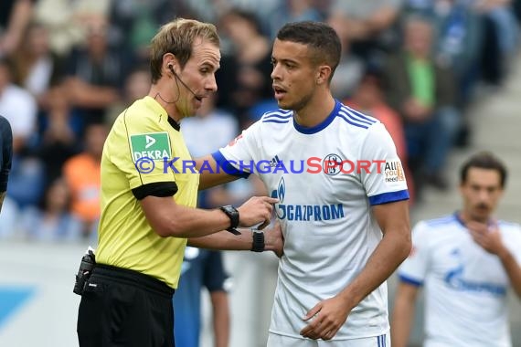 1.BL - 17/18 - TSG 1899 Hoffenheim vs. FC Schalke 04 (© Kraichgausport / Loerz)