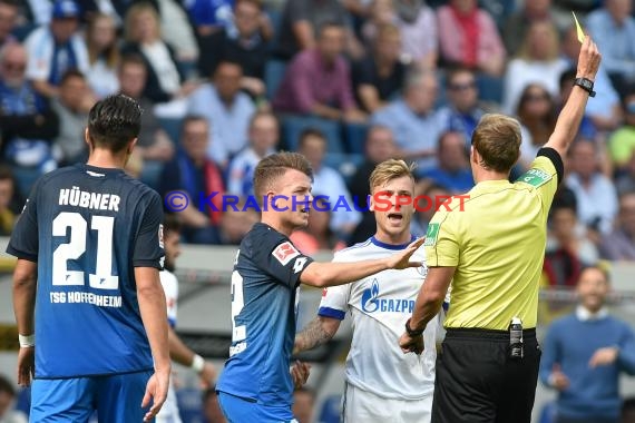 1.BL - 17/18 - TSG 1899 Hoffenheim vs. FC Schalke 04 (© Kraichgausport / Loerz)